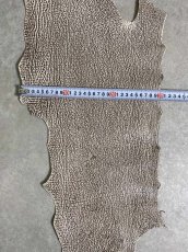 画像8: シャーク　バニラ×茶　サメ革　鮫革　シャークスキン　 (8)