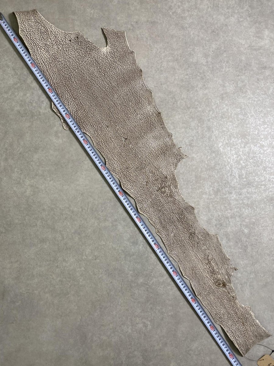 画像9: シャーク　バニラ×茶　サメ革　鮫革　シャークスキン　 (9)