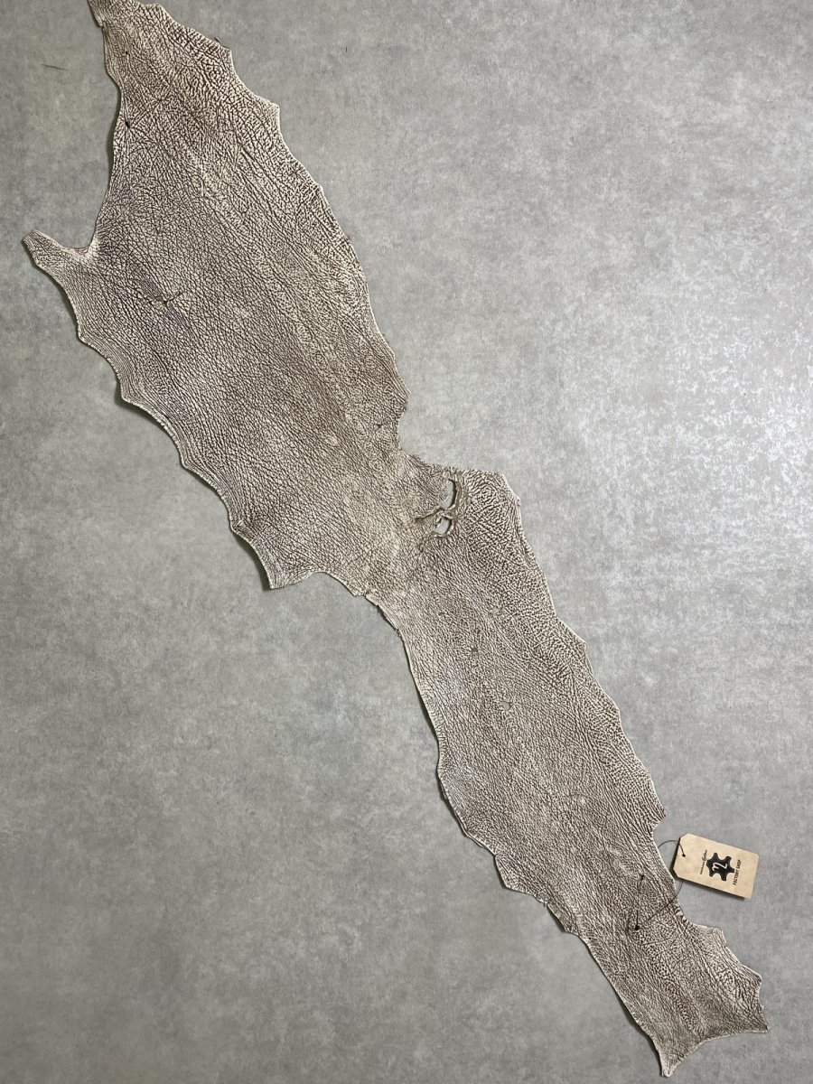 画像1: シャーク　バニラ×茶　サメ革　鮫革　シャークスキン　 (1)