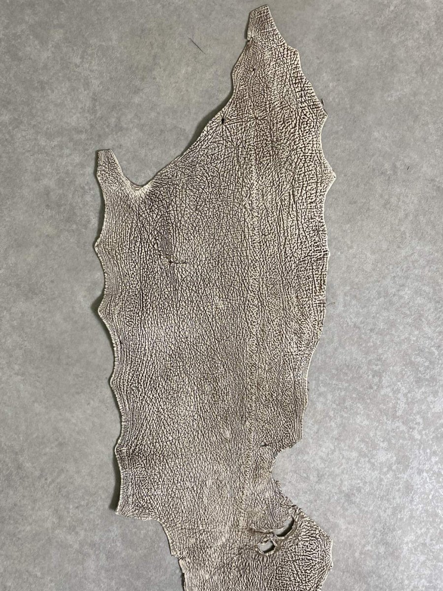 画像3: シャーク　バニラ×茶　サメ革　鮫革　シャークスキン　 (3)