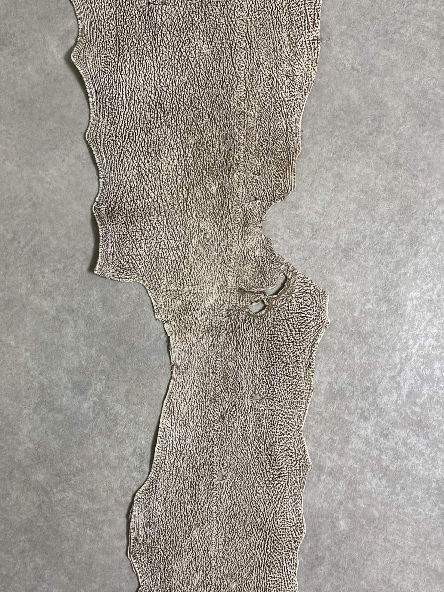 画像4: シャーク　バニラ×茶　サメ革　鮫革　シャークスキン　 (4)