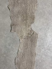 画像4: シャーク　バニラ×茶　サメ革　鮫革　シャークスキン　 (4)