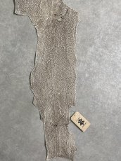 画像5: シャーク　バニラ×茶　サメ革　鮫革　シャークスキン　 (5)