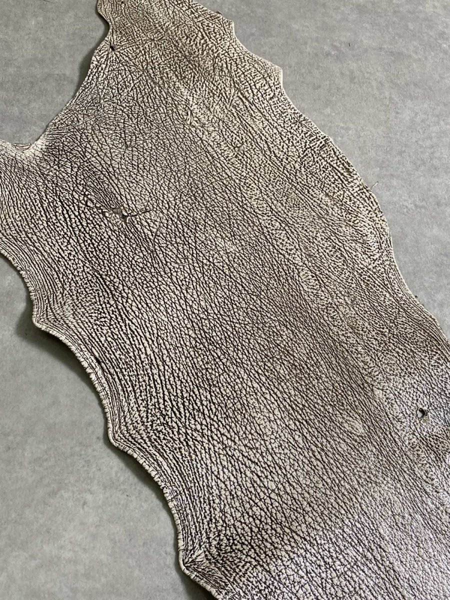 画像6: シャーク　バニラ×茶　サメ革　鮫革　シャークスキン　 (6)