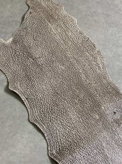 画像6: シャーク　バニラ×茶　サメ革　鮫革　シャークスキン　 (6)