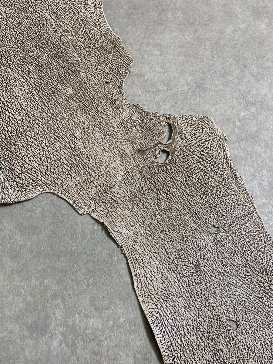 画像7: シャーク　バニラ×茶　サメ革　鮫革　シャークスキン　 (7)