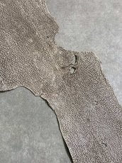画像7: シャーク　バニラ×茶　サメ革　鮫革　シャークスキン　 (7)