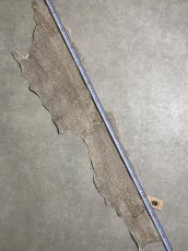 画像8: シャーク　バニラ×茶　サメ革　鮫革　シャークスキン　 (8)