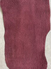 画像4: シャーク　ヌバック　ボルドー　鮫革　シャークスキン (4)