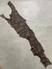 画像1: シャーク　迷彩吟スリ　鮫革　シャークスキン (1)