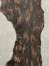 画像4: シャーク　迷彩吟スリ　鮫革　シャークスキン (4)