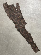 画像1: シャーク　迷彩吟スリ　鮫革　シャークスキン (1)