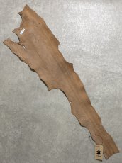 画像8: シャーク　迷彩吟スリ　鮫革　シャークスキン (8)