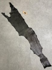 画像1: シャーク　エナメル　ブラック　サメ革 (1)