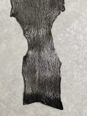 画像5: シャーク　エナメル　ブラック　サメ革 (5)