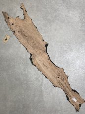 画像8: シャーク　エナメル　ブラック　サメ革 (8)