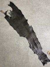 画像1: シャーク　エナメル　ブラック　サメ革 (1)