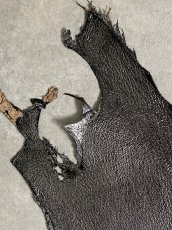 画像2: シャーク　エナメル　ブラック　サメ革 (2)