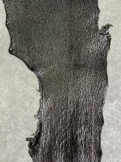 画像4: シャーク　エナメル　ブラック　サメ革 (4)