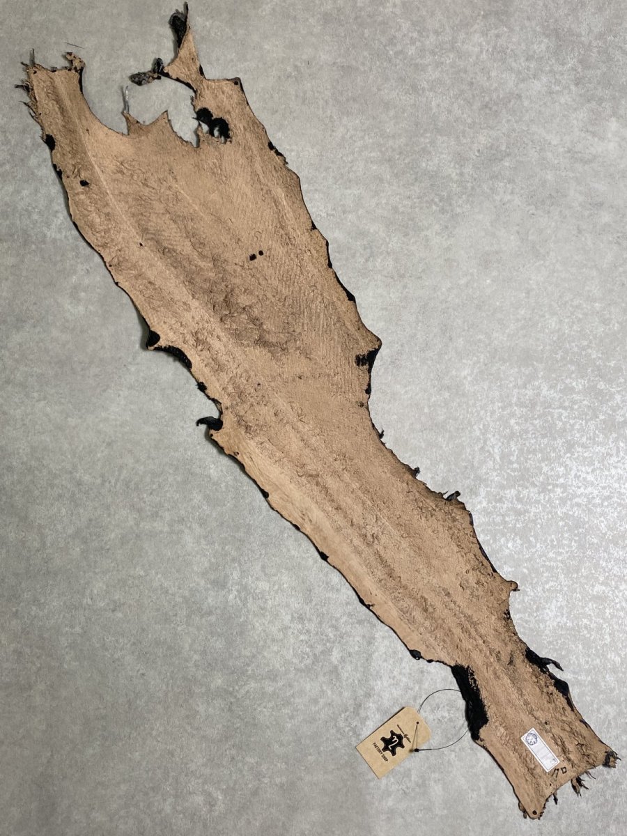 画像9: シャーク　エナメル　ブラック　サメ革 (9)