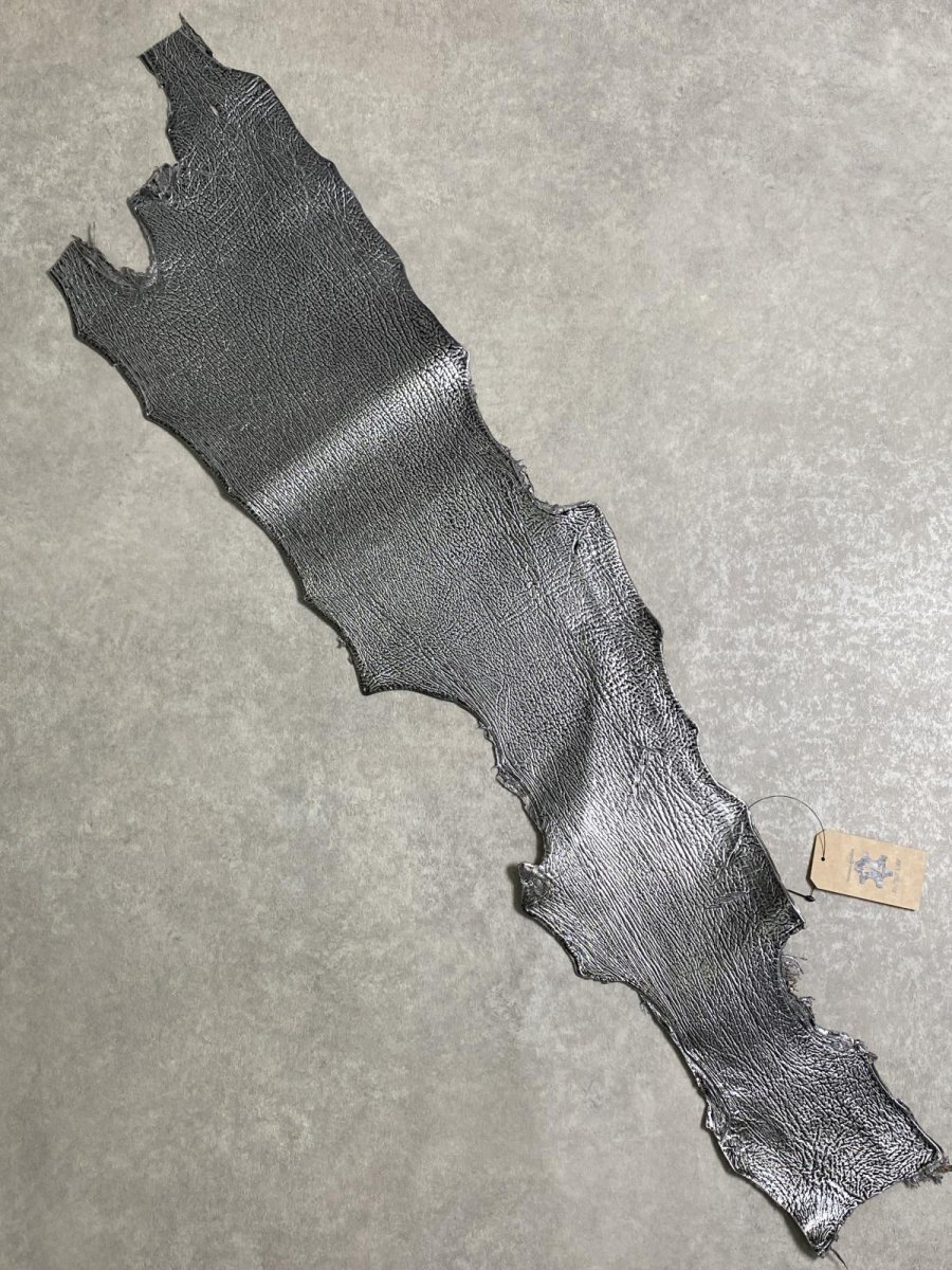 画像1: シャーク　エナメル　シルバー　サメ革 (1)