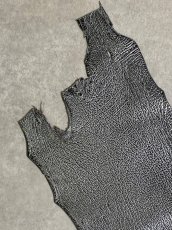 画像2: シャーク　エナメル　シルバー　サメ革 (2)