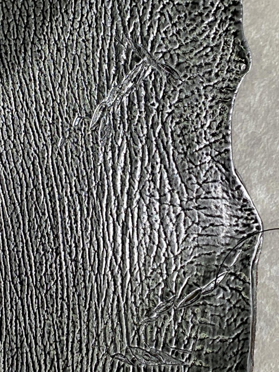 画像7: シャーク　エナメル　シルバー　サメ革 (7)