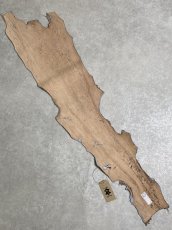 画像8: シャーク　エナメル　シルバー　サメ革 (8)