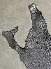 画像2: シャーク　エナメル　シルバー　サメ革 (2)