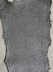 画像3: シャーク　エナメル　シルバー　サメ革 (3)