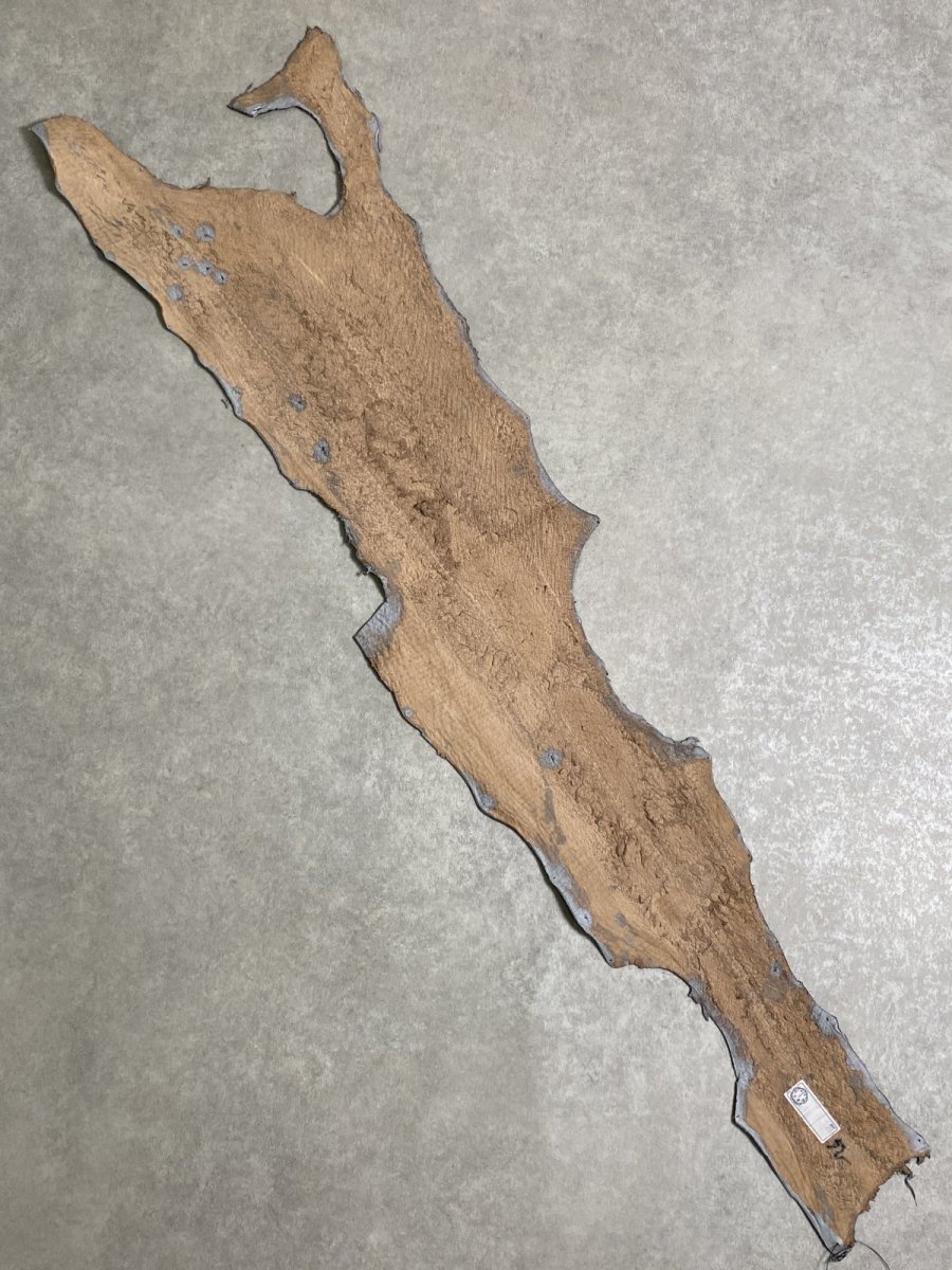 画像8: シャーク　エナメル　シルバー　サメ革 (8)