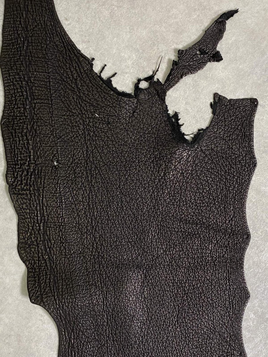 画像3: シャーク　ブラック　鮫革　シャークスキン (3)