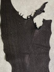 画像3: シャーク　ブラック　鮫革　シャークスキン (3)