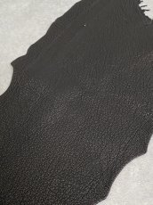 画像2: シャーク　ブラック　鮫革　シャークスキン (2)
