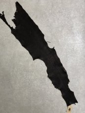 画像1: シャーク　ブラック　鮫革　シャークスキン (1)