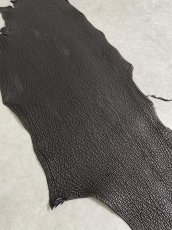 画像2: シャーク　ブラック　鮫革　シャークスキン (2)
