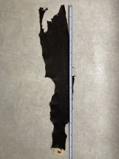 画像6: シャーク　ブラック　鮫革　シャークスキン (6)