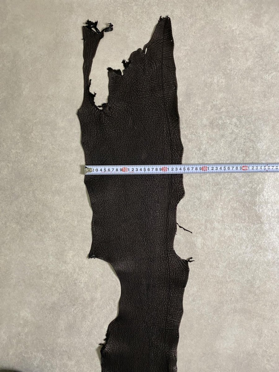 画像7: シャーク　ブラック　鮫革　シャークスキン (7)