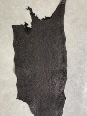 画像3: シャーク　ブラック　鮫革　シャークスキン (3)