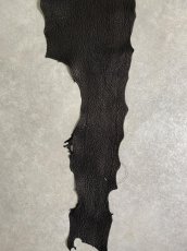 画像4: シャーク　ブラック　鮫革　シャークスキン (4)
