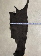 画像6: シャーク　ブラック　鮫革　シャークスキン (6)