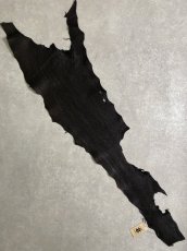 画像1: シャーク　ブラック　鮫革　シャークスキン (1)