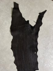 画像5: シャーク　ブラック　鮫革　シャークスキン (5)