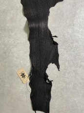 画像7: シャーク　ブラック　鮫革　シャークスキン (7)