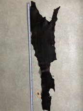 画像8: シャーク　ブラック　鮫革　シャークスキン (8)