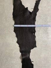 画像9: シャーク　ブラック　鮫革　シャークスキン (9)