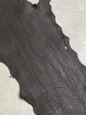 画像3: シャーク　ブラック　鮫革　シャークスキン (3)
