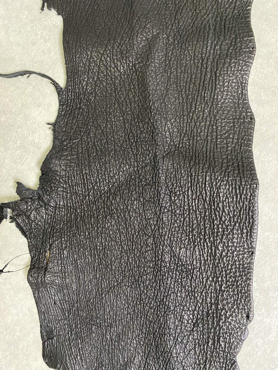 画像3: シャーク　ブラック　鮫革　シャークスキン　ハギレ (3)