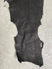 画像4: シャーク　ブラック　鮫革　シャークスキン　ハギレ (4)