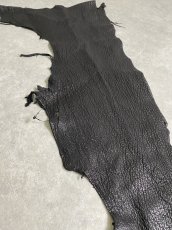 画像5: シャーク　ブラック　鮫革　シャークスキン　ハギレ (5)